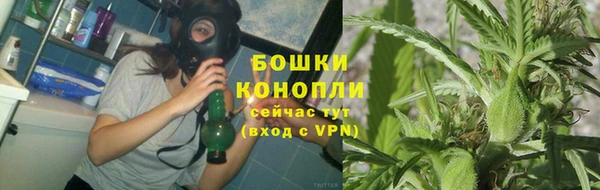 молекула духа Сатка