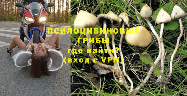 спиды Армянск